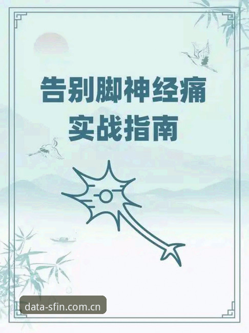Sfined官网 顺发体育平台实战指南:数据获取到下载使用全解析